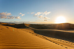 Couple in the Dunes of Maspalomas, Dunas de Maspalomas, natural reserve, Maspalomas, municipality of San Bartolomé de Tirajana, Gran Canaria, Canary Islands, Spain, Europe