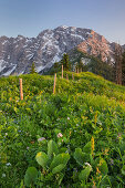 Hoher Goell see from Ahornbuechsenkogel, Border fence between Salzburg and Bavaria, Berchtesgadener Land, Bavaria, Germany, Austria