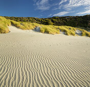 Wharariki Beach, Tasman, Südinsel, Neuseeland