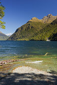 Lake Gunn, Fiordland National Park, Southland, South Island, New Zealand