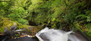 Upper McLean Falls, Catlins, Southland, South Island, New Zealand