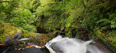 Upper McLean Falls, Catlins, Southland Südinsel, Neuseeland