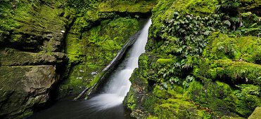 Lower McLean Falls, Catlins, Southland Südinsel, Neuseeland