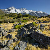 Mount Sefton, Mount Cook National park, Canterbury, South Island, New Zealand