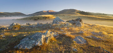 Sunrise over a meadow, Rocks, Otago, South Island, New Zealand