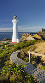 Castle Point lighthouse, Wellington, North Island, New Zealand