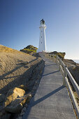 Castle Point Leuchtturm, Wellington, Nordinsel, Neuseeland