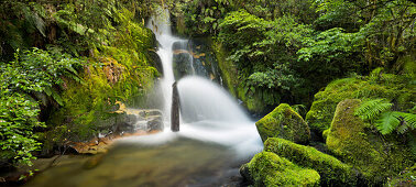 Whirinaki Falls, Whirinaki Forest Park, Bay of Plenty, Nordinsel, Neuseeland