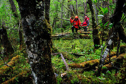 Zwei Bergsteiger durchqueren Regenwald unterhalb Monte Sarmiento, Feuerland, Chile