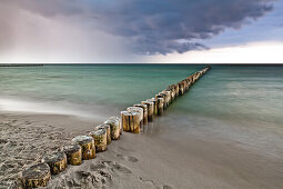 Buhnen am Strand im Abendlicht, Darß, Ostsee, Mecklenburg-Vorpommern, Deutschland