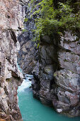 Blick in die Rofflaschlucht, Rhein, Hinterrhein, Andeer, Kanton Graubünden, Schweiz, Europa