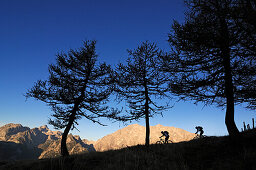 Mountain bikers on mount Feuerpalven, Watzmann in background, Berchtesgadener Land, Upper Bavaria, Germany