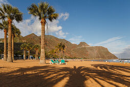 Strand mit Palmen, Playa de las Teresitas, bei San Andrés, Las Montanas de Anaga, Anaga Gebirge, Naturschutzgebiet, Parque Rural de Anaga, Küste, Atlantik, Teneriffa, Kanarische Inseln, Spanien, Europa