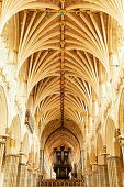 Vault ceiling of the cathedral, Exeter, Devon, England, Great Britain