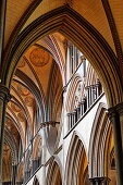 Gewölbe, Kathedrale von Salisbury, Salisbury, Wiltshire, England, Grossbritannien