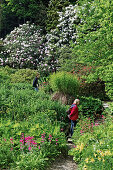 Women in Minterne Gardens, Dorset, England, Great Britain