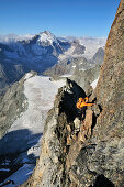 Bergsteiger am Arbengrat des Obergabelhorn (4034 m), Dent d'Herens im Hintergrund, Wallis, Schweiz