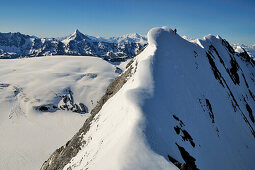 Mountaineer on the ridge of Wisse Frau, Blümlisalp (3661 m), Bernese Alps, Switzerland