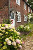 Hauseingang mit Blumen in der Traders Passage, Rye, East Sussex, Großbritannien