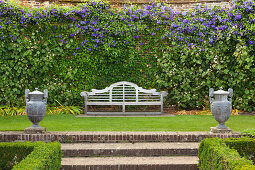 Bench with clematis at the Rose Garden, Sissinghurst Castle Gardens, Kent, Great Britain