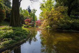 English style gardens of Villa Melzi, Bellagio, Lake Como, Lago di Como, Province of Como, Lombardy, Italy