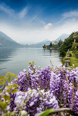 Villa Monastero gardens, Varenna, Lake Como, Lago di Como, Province of Lecco, Lombardy, Italy
