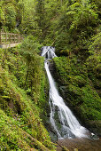 Lotenbachklamm, Wutachschlucht, near Bonndorf,  Black Forest, Baden-Wuerttemberg, Germany