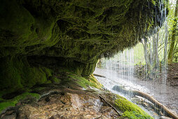 Wasserfall in der Wutachschlucht, bei Bonndorf, Schwarzwald, Baden-Württemberg, Deutschland