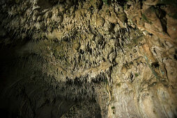 Giant Stalagmites and Stalactites in a dripstone cave, Karlshoehle and Baerenhoehle, Sonnenbuehl, Swabian Alp, Baden-Wuerttemberg, Germany