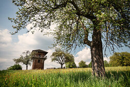 rekonstruierter Spähturm der Römer am Limes auf Streuobstwiese, Kloster Lorch, Schwäbische Alb, Baden-Württemberg, Deutschland
