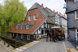 Pferdekutsche, Worthmühle, Goslar, Niedersachsen, Deutschland