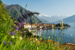 Menaggio, Lake Como, Lago di Como, Province of Como, Lombardy, Italy