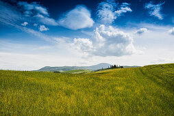 Landschaft bei San Quirico d'Orcia, Val d'Orcia, Provinz Siena, Toskana, Italien, UNESCO Welterbe