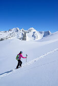 Frau auf Skitour steigt zum Eiskögele auf, Hochfirst, Kirchenkogel und Liebener Spitze im Hintergrund, Obergurgl, Ötztaler Alpen, Tirol, Österreich