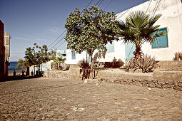 Street through a village near ocean, Praia, Santiago, Cape Verde