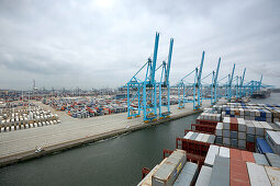 Containerschiff Elly Maersk im Hafen, Portalkräne im Hintergrund, Rotterdam, Südholland, Niederlande
