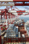 Containerschiff im Hafen, Containerhafen Tianjin, Tianjin, China