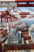 Container ship in harbor, Port of Tianjin, Tianjin, China