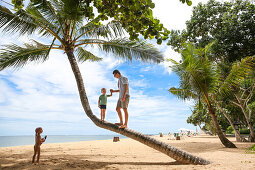 Father and son standing on a coconut tree, beach, little boy 3 years old, western family, family travel in Asia, parental leave, MR, Sanur, Bali, Indonesia