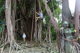 Banyan Baum, balinesische Skulptur, Tempeltänzerin, Vater und Sohn klettern im Baum, Junge, 3 Jahre alt, tropische Vegetation, Elternzeit in Asien, Familie, MR, Ubud, Bali, Indonesien