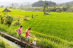 Grandmother, father and son walking in rice field, rice paddy, rice terraces, irrigation channel, evening sun, rice cultivation, boy 3 years old, pavilion, tropical island, family travel in Asia, parental leave, German, European, MR, Sidemen, Bali, Indone