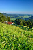 Bucheralm mit Leitzachtal im Hintergrund, Breitenstein, Mangfallgebirge, Bayerische Voralpen, Oberbayern, Bayern, Deutschland