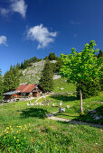 Hut Hubertushuette, Breitenstein, Mangfall Mountains, Bavarian Prealps, Upper Bavaria, Bavaria, Germany
