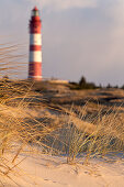 Nahaufnahmen von Gräsern auf einer Düne mit Leuchtturm von Amrum an einem sonnigen Wintertag, Amrum, Nordfriesland, Schleswig-Holstein, Deutschland, Europa