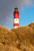 Leuchtturm von Amrum hinter Dünen an einem sonnigen Wintertag, Amrum, Nordfriesland, Schleswig-Holstein, Deutschland, Europa