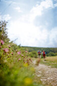 Wanderer auf einem Feldweg über eine Trockenwiese, Rheinland-Pfalz, Deutschland