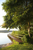 Bootssteg am See in der Abenddämmerung, Biosphärenreservat Schorfheide-Chorin, Neudorf, Friedenfelde, Uckermark, Brandenburg, Deutschland