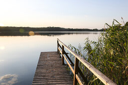 Landing stage at a lake in dusk, Schorfheide-Chorin Biosphere Reserve, Neudorf, Friedenfelde, Uckermark, Brandenburg, Germany