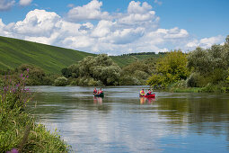 Menschen in zwei Kanus auf Mainschleife vom Fluss Main, nahe Escherndorf, Franken, Bayern, Deutschland