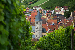 Randersacker church tower seen through vineyard, Randersacker, near Wuerzburg, Franconia, Bavaria, Germany